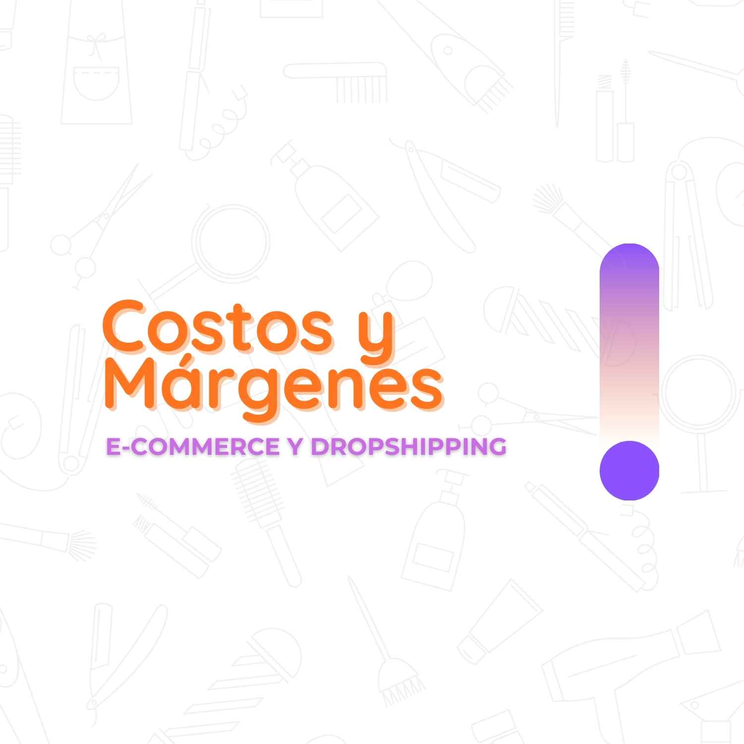 E-Commerce y Dropshipping - Costos y Márgenes de Servicios